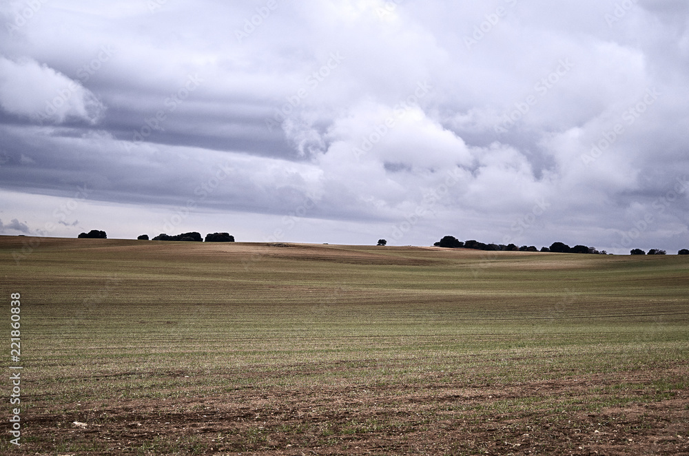 Obraz premium empty meadow in winter