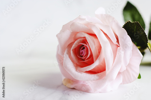 Pink artificial rose flower on white marble background for love concept