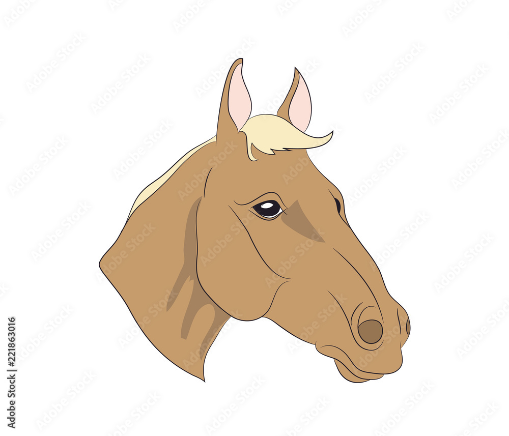 horse portrait, vector