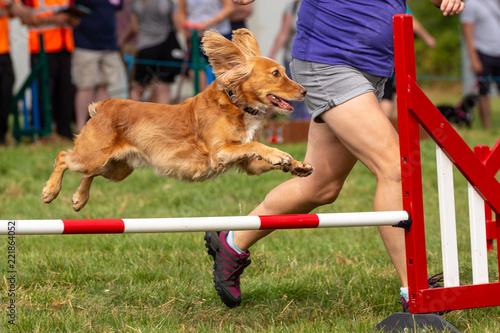 Photography Agility show held at the Usk Show Ground on 21st and 22nd July 2018