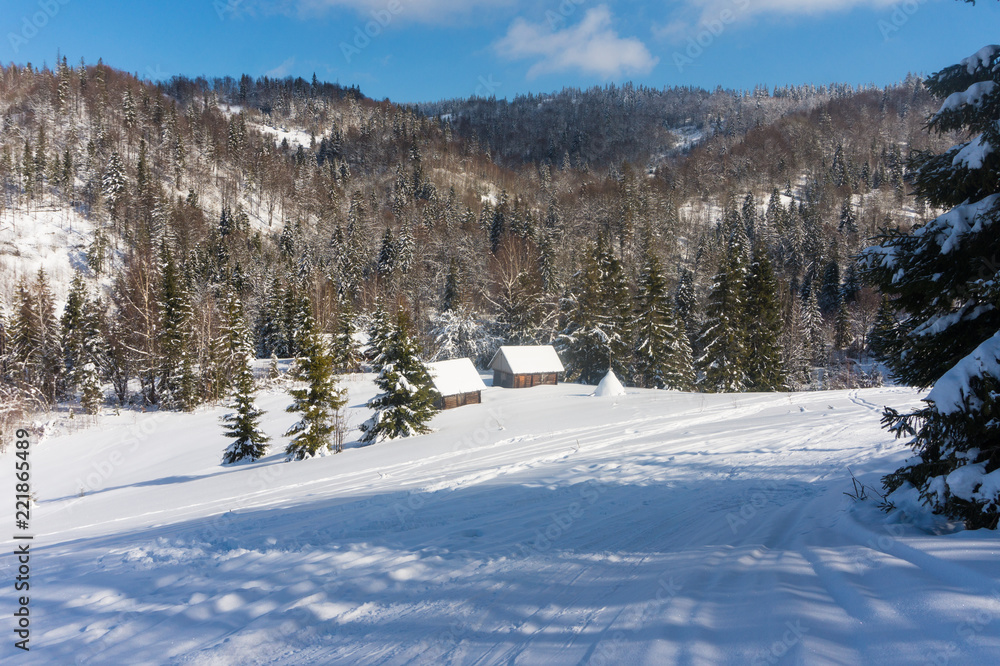 Huts in a snow-covered forest in the mountains in winter