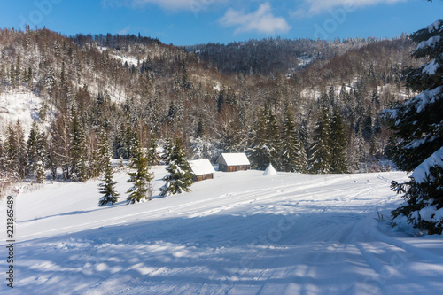 Huts in a snow-covered forest in the mountains in winter