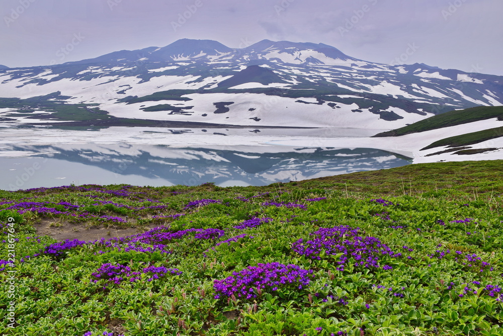 Mountain lake, flowers and snow.