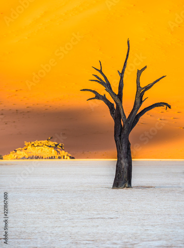 Dead Camelthorn Trees and red dunes in Deadvlei, Sossusvlei, Namib-Naukluft National Park, Namibia