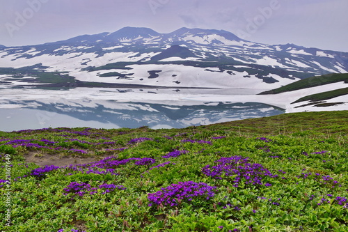 Mountain lake  flowers and snow.