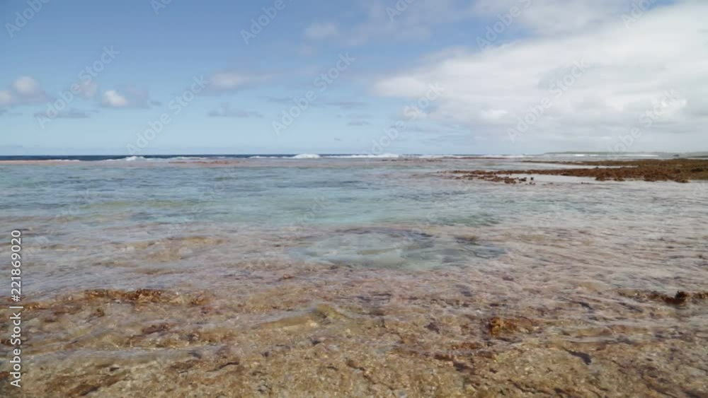 in polynesia the rocks of the coastline in polynesia the rocks of the coastline