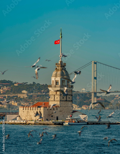 Photography Seagulls and The Maiden's Tower and The Bosphorus Bridge on the background in Is