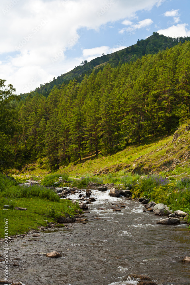 Mountain landscape with a river