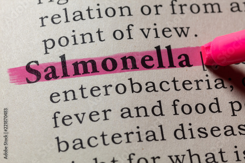 Canvas Print definition of Salmonella