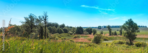 Fototapeta Naklejka Na Ścianę i Meble -  Summer landscape sky, trees, field, bush country scene panorama
