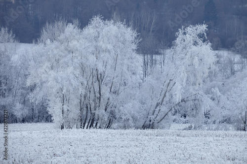 Winter landscape near Feltre near Feltre