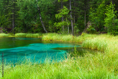 Fragment of a turquoise lake in the forest