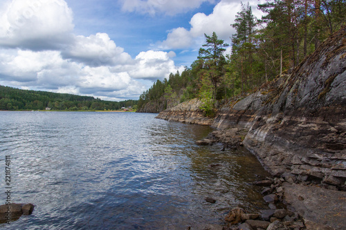 Pines on a cliff with watermarks