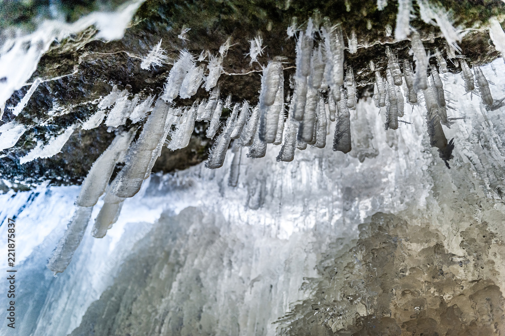 Icicles on cliff with small plants. Jagala Waterfall, Estonia. Soft focus. Close-up.