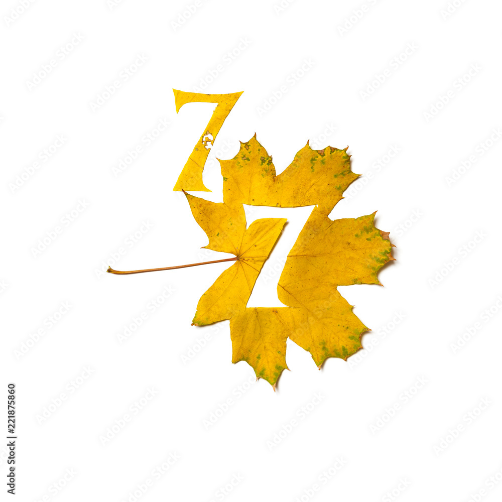 Figure7 is cut from yellow maple leaf Figure7 is cut from yellow maple leaf