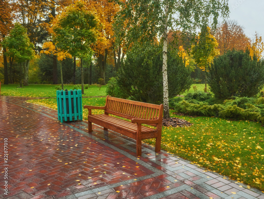 Fototapeta premium Autumn park bench, rainy texture background.