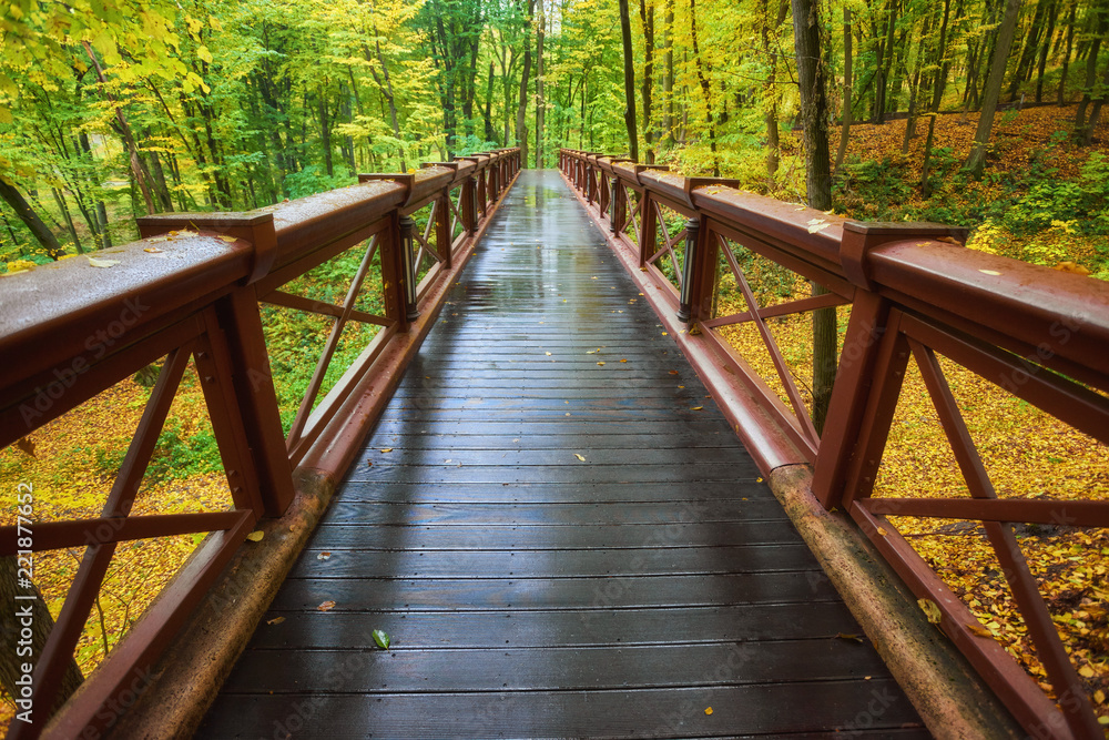Obraz premium Beautiful wooden bridge in the forest. Colored leaves.