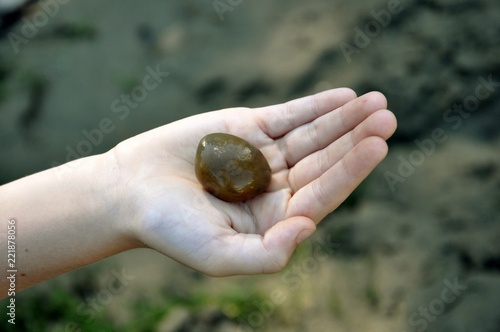 Child hand holding a brown stone from the river, copy space, close up, selective focus