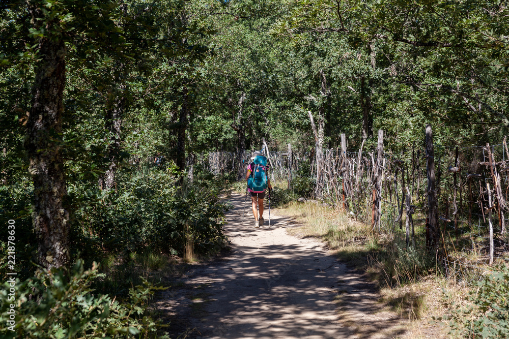 Camino de Santiago Spain