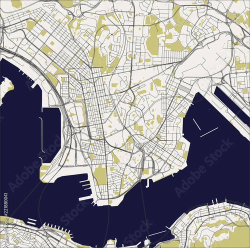 Fototapeta map of the city of Hong Kong, Special Administrative Region of the People's Repu