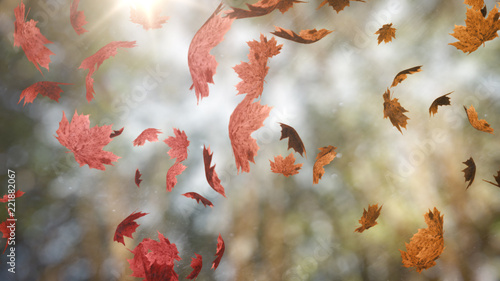 Autumn Background Loops