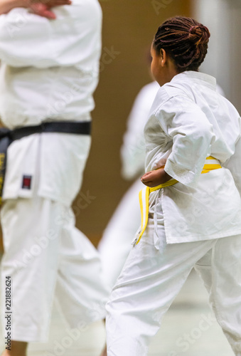 Karate Shotokan Kata