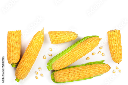 ear of corn isolated on a white background with copy space for your text. Top view. Set or collection