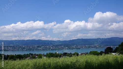 wiese in zollikon am Zürichsee in der Schweiz im Kanton zürich