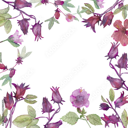 Hibiscus flowers and fruits hand-painted border with watercolor on white background.