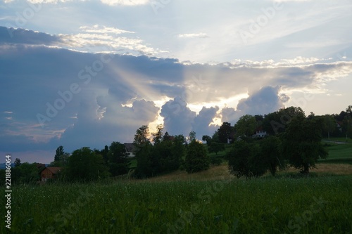 Wiese in Zollikon in der Schweiz im Kanton Zürich im Sommer