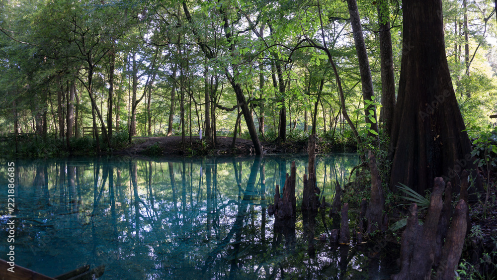 Reflection of the cypress forest in turquoise crystal clear waters of the lagoon of Ginnie Springs, Florida. USA