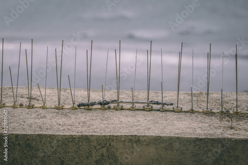 Anti-Seagull spikes on window ledge