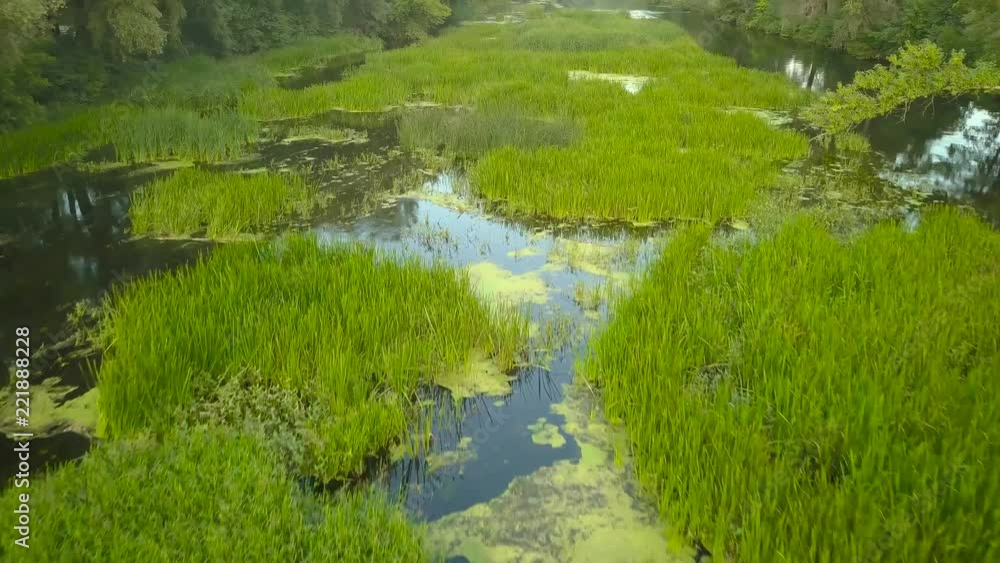 Flight over the river overgrown with grass, Ukraine surrounded by trees - aerial videotaping Flight over the river overgrown with grass, Ukraine surrounded by trees - aerial videotaping
