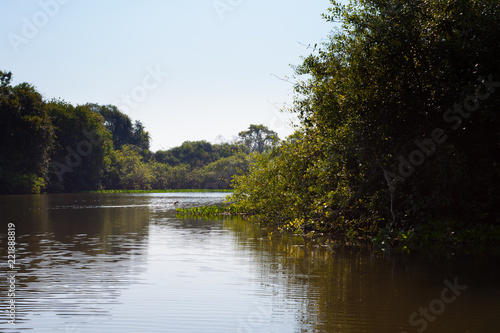 Fototapeta Naklejka Na Ścianę i Meble -  Panorama from Pantanal, Brazilian wetland region.