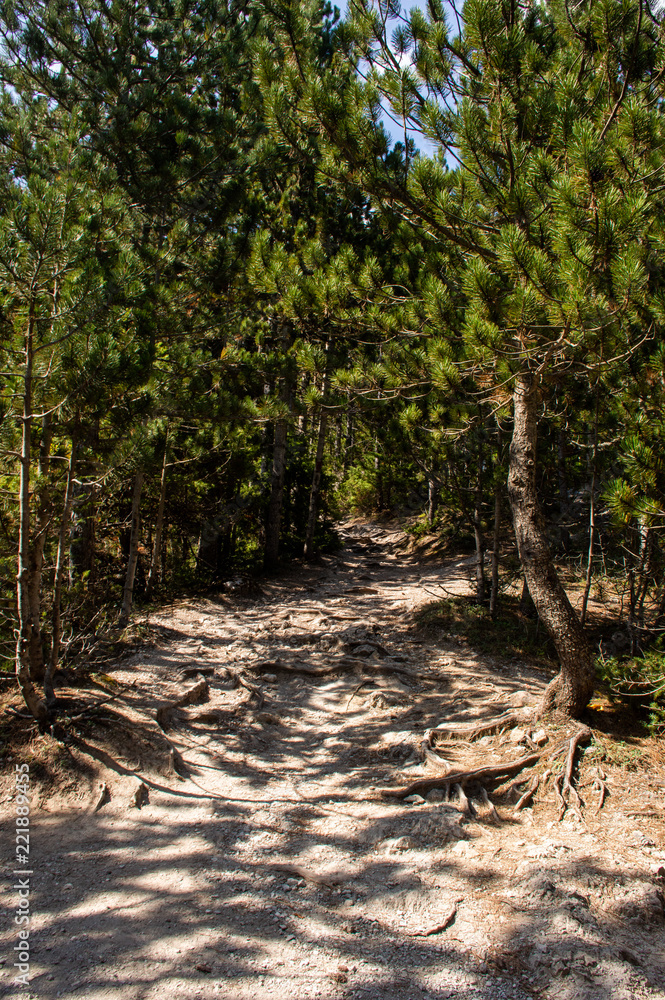 Fototapeta premium HIKING @ OLYMPUS MOUNTAIN