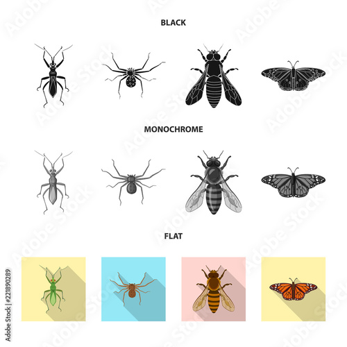 Vector design of insect and fly sign. Set of insect and element stock vector illustration. © Svitlana
