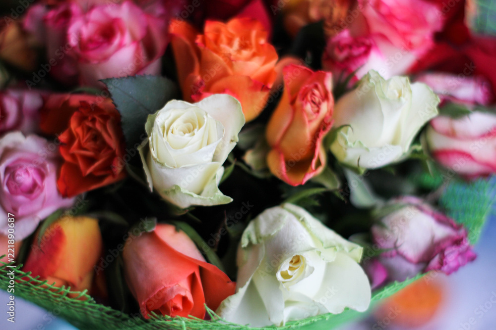 bouquet of roses bouquet of roses