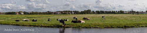 Landleben mit Kühe © Ron-Heidelberg