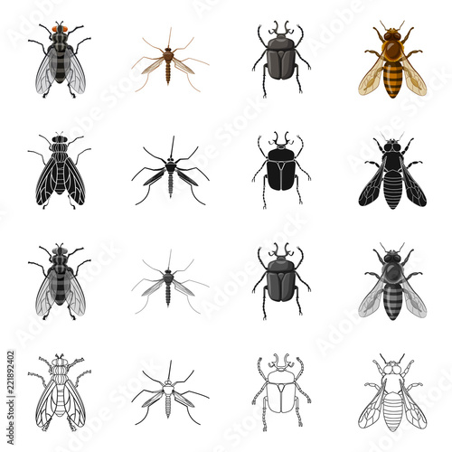 Isolated object of insect and fly icon. Set of insect and element vector icon for stock.