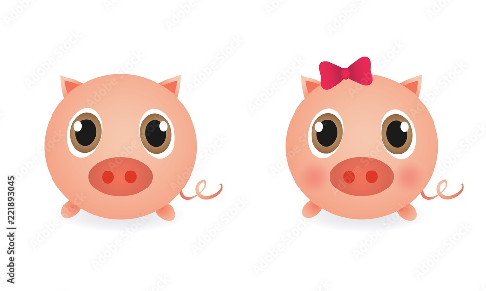 Cute male and female pigs, piglets
