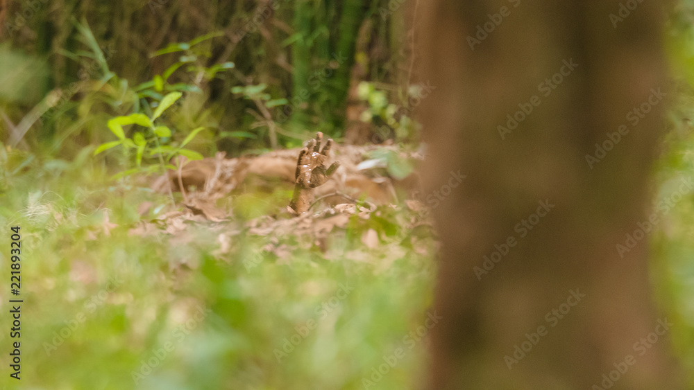 Man hand sticking out from quicksand, Dirty green lake with a quagmire. On the shore are dry trees and grass Man hand sticking out from quicksand, Dirty green lake with a quagmire. On the shore are dry trees and grass
