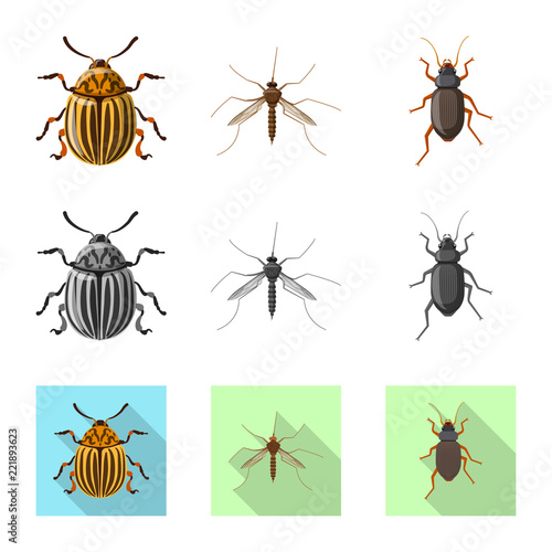 Vector design of insect and fly symbol. Set of insect and element stock symbol for web.