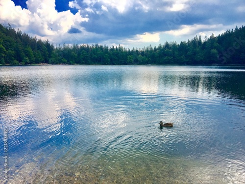 Feldsee im Schwarzwald am Feldberg in Süddeutschland photo