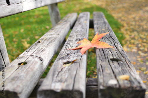 Loneliness concept Autumn Fall Bench Maple leaf Copy space Solitude Depression New start Procrastination photo