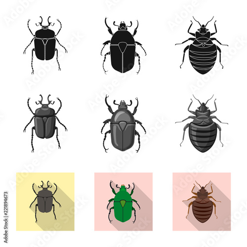 Isolated object of insect and fly icon. Collection of insect and element stock symbol for web.