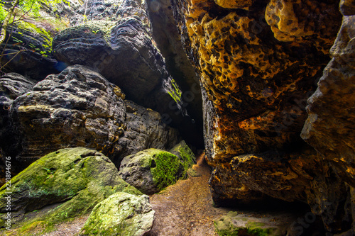 Obraz na plátně Saxon Switzerland, where the rocks speak their own language and the trees grow i