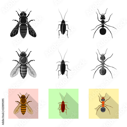 Isolated object of insect and fly sign. Collection of insect and element stock vector illustration. © Svitlana