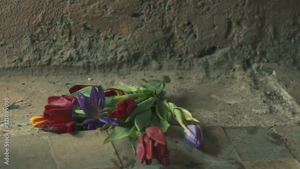 Falling broken flowers - concept of parting. Slow motion Falling broken flowers - concept of parting. Slow motion