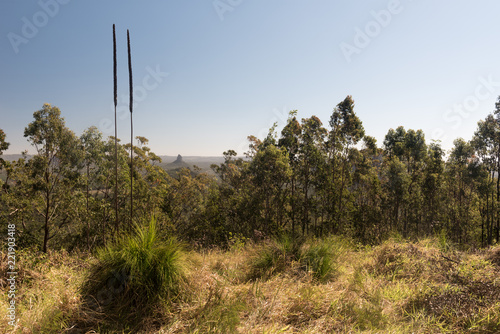 View of the Mt Coonowrin, one of the Glasshouse Mountains, from Mt Beerburrum lookout, Queensland, Australia.