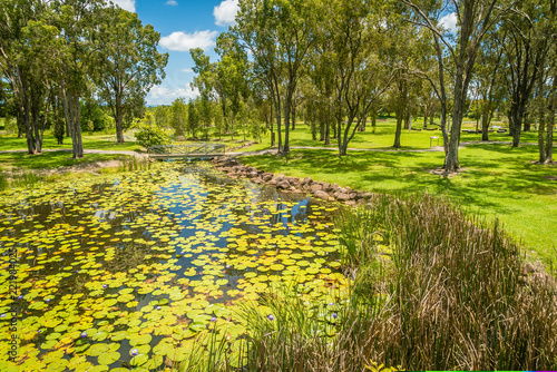 River and wetlands in Tyto in the summer, Queensland photo